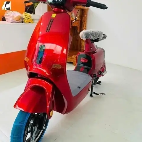Top Xe Đạp Điện Màu Đỏ: Mẫu Mã, Giá Bán & Lưu Ý Chọn Mua