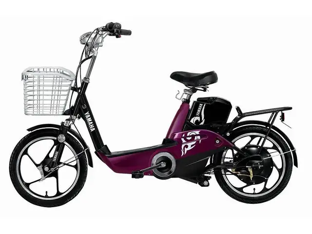 Xe Đạp Điện Máy Xanh: Giá Rẻ, Khuyến Mại & Kinh Nghiệm Chọn Mua Tốt Nhất