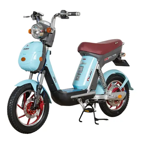 Xe Đạp Điện Nijia Plus: Hãng Nào Tốt Nhất, Giá Bao Nhiêu & Có Nên Mua?