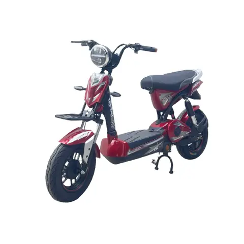 Xe Đạp Điện Nike Bike: Giá Cả, Mẫu Mã Và Đánh Giá Chi Tiết 2024