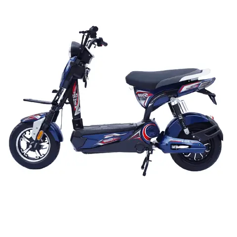 Xe Đạp Điện Nike Bike: Giá Cả, Mẫu Mã Và Đánh Giá Chi Tiết 2024