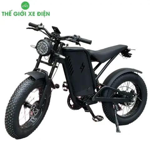 Xe Đạp Điện Thể Thao: Chọn Mẫu Nào Tốt Nhất, Giá Bao Nhiêu?