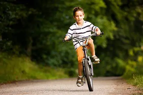 Xe Đạp Điện Tiếng Anh Là Gì? Định Nghĩa, Cách Phát Âm & Ví Dụ Chi Tiết