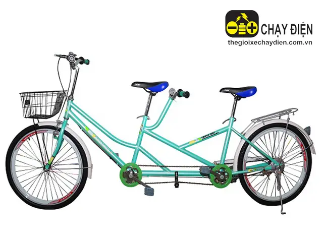 Xe Đạp Đôi Người Lớn: Kinh Nghiệm Chọn Mua, Mẫu Mã Phổ Biến Và Giá Cả