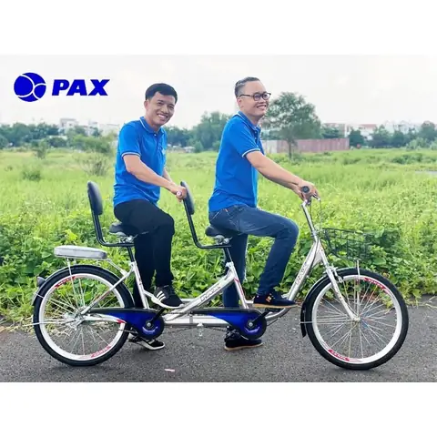 Xe Đạp Đôi Người Lớn: Kinh Nghiệm Chọn Mua, Mẫu Mã Phổ Biến Và Giá Cả