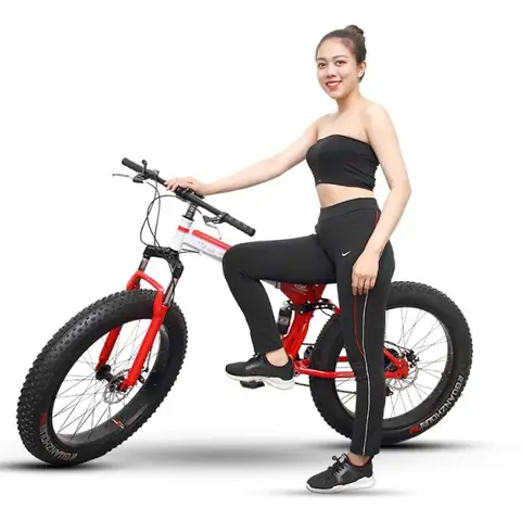 Xe Đạp Gấp Bánh To: Chọn Mua, Ưu Nhược Điểm Và Các Loại Phổ Biến 2024