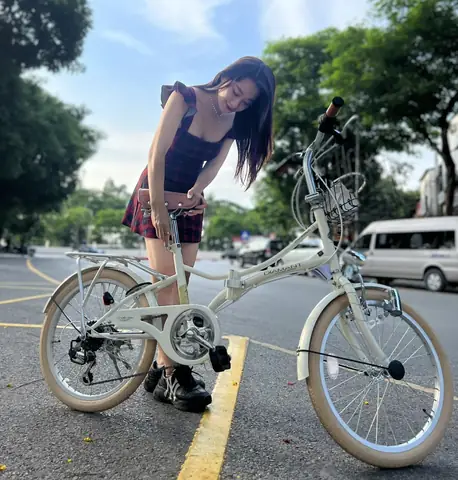Xe Đạp Gấp Nhật Bản: Top Mẫu, Ưu Điểm Và Lưu Ý Khi Chọn Mua