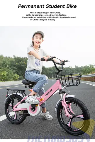 Xe Đạp Gấp Trẻ Em: Chọn Mẫu Nào Tốt, Giá Bao Nhiêu & Lưu Ý Khi Mua