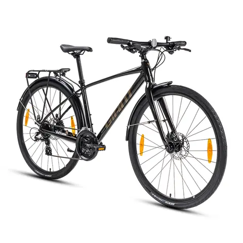Xe Đạp Giant Escape 2: Thông Số, Đánh Giá & Nơi Mua Tốt Nhất 2024/2025