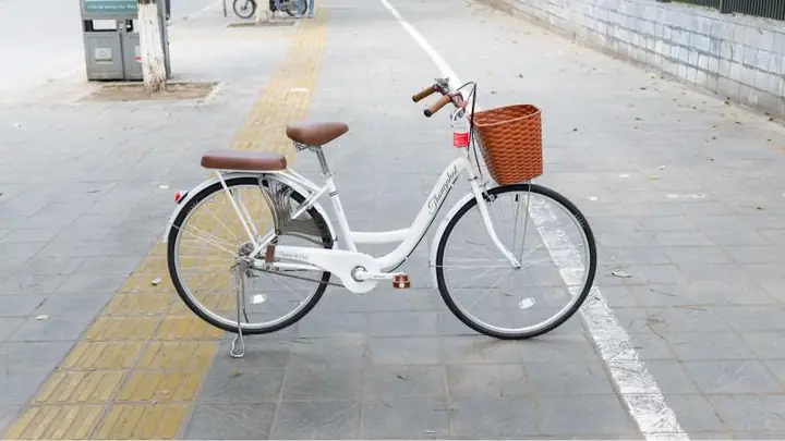 Xe Đạp Học Sinh Cấp 2: Kinh Nghiệm Chọn Mua Tốt Nhất 2026