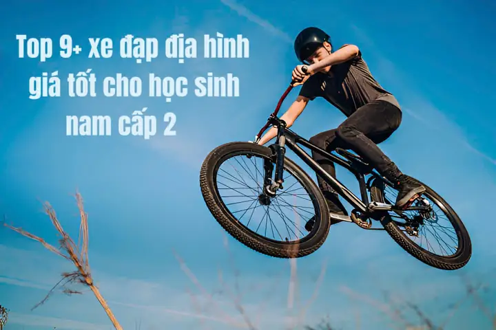 Xe Đạp Học Sinh Giá Rẻ: Chọn Xe Phù Hợp Theo Cấp Học, Tiêu Chí Và Ngân Sách