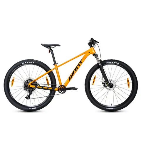 Xe Đạp Leo Núi Giant: Top Mẫu MTB & Kinh Nghiệm Chọn Mua Chi Tiết