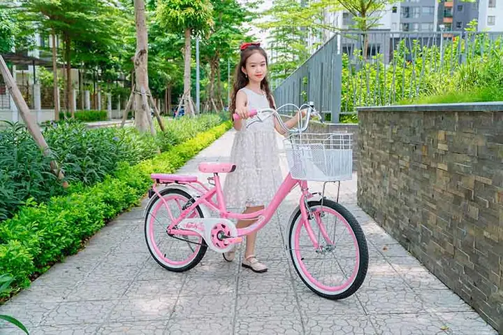 Top Xe Đạp Màu Hồng Cho Bé Gái: Mẫu Đẹp, Phù Hợp Và Lưu Ý Chọn Mua