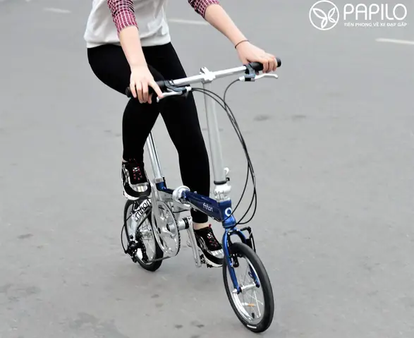 Xe Đạp Gấp Gọn Mini: Hướng Dẫn Chọn Mua, Loại Phổ Biến & Giá Tốt 2024