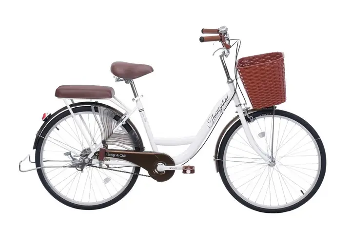 Xe Đạp Mini Cho Người Lớn: Hướng Dẫn Chọn Mua Và Các Mẫu Phổ Biến 2024