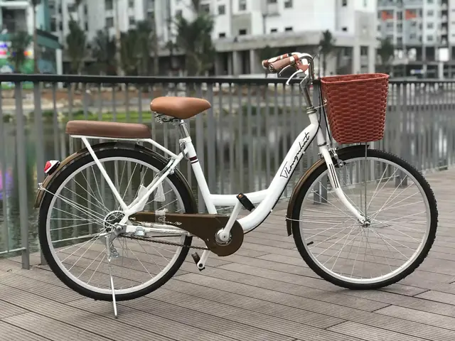 Xe Đạp Mini Thống Nhất: Nên Chọn Loại Nào, Giá Bao Nhiêu Và Mua Ở Đâu?