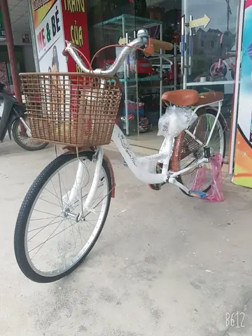 Xe Đạp Mini Xuân Hòa: Mua Ở Đâu Giá Tốt, Xe Nào Phù Hợp?
