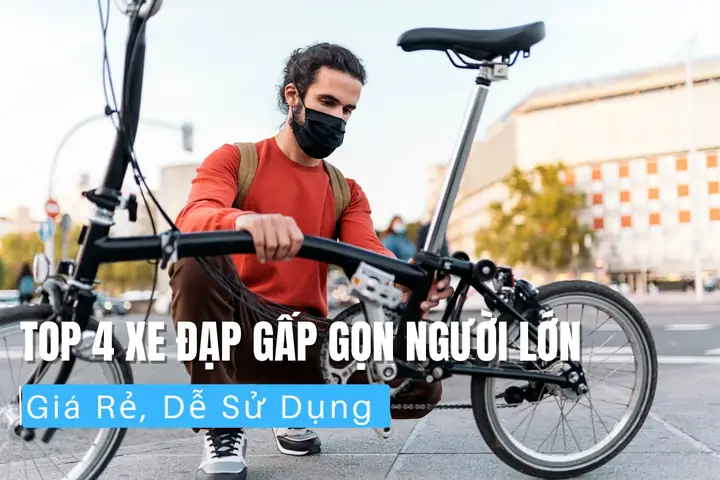 Xe Đạp Người Lớn Giá Rẻ: Kinh Nghiệm Chọn Mua & Top Mẫu Phổ Biến