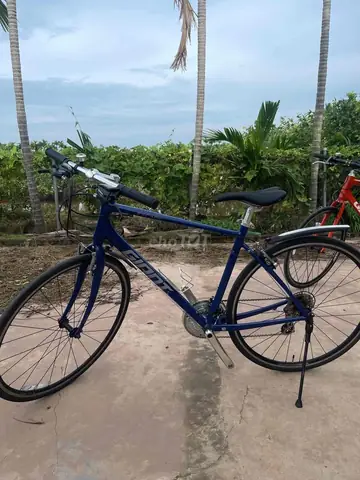 Xe Đạp Nhật Bãi Nam Định: Kinh Nghiệm Mua & Địa Chỉ Uy Tín