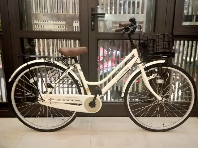 Xe Đạp Nhật Nội Địa: Hướng Dẫn Mua, Phân Loại Và Lưu Ý Quan Trọng