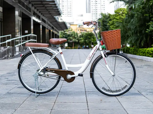 Top Xe Đạp Nữ Đi Học: Tiêu Chí Chọn Lựa & Mẫu Mã Phổ Biến 2024