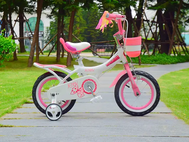 Xe Đạp Royal Baby Jenny: Chọn Mẫu Phù Hợp Cho Bé (12-20 Inch)