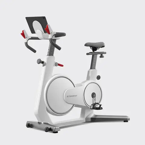 Xe Đạp Thể Thao Kingsport: Tư Vấn Chọn Mua & Review Chi Tiết Các Dòng Phổ Biến