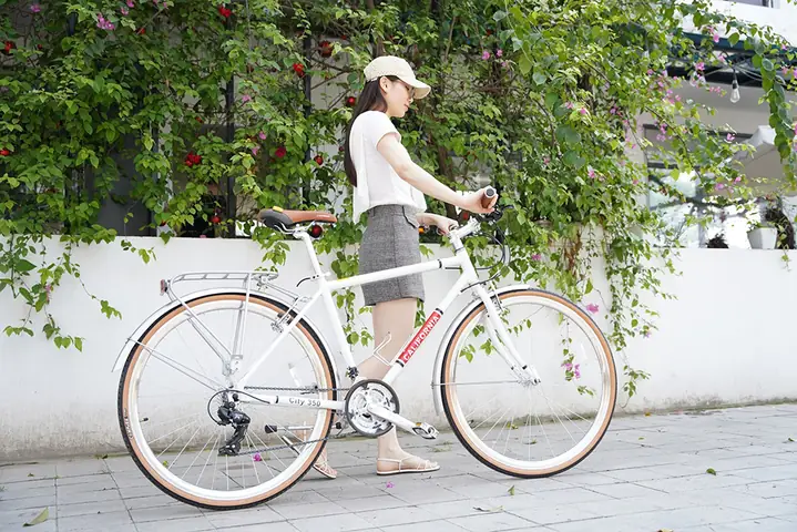 Xe Đạp Thể Thao Nữ Giá Dưới 2 Triệu: Chọn Mẫu Nào Tốt, Bền, Đẹp?