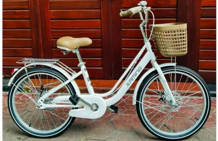 Xe Đạp Trẻ Em 24 Inch: Chọn Size Phù Hợp Cho Bé 9-15 Tuổi, Đánh Giá Chi Tiết