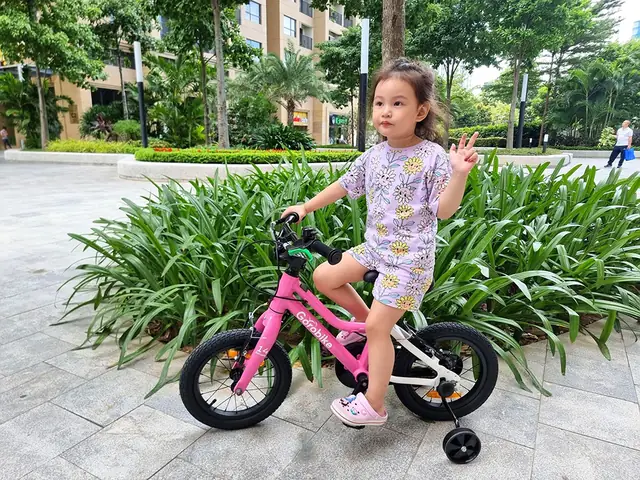 Mua Xe Đạp Trẻ Em Giá Rẻ Hà Nội: Địa Chỉ Uy Tín, Mẫu Mã Đa Dạng