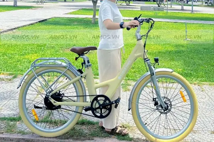 Xe Đạp Trợ Lực Điện Hải Phòng: Địa Chỉ Mua Uy Tín, Thương Hiệu Phổ Biến Và Lưu Ý Quan Trọng