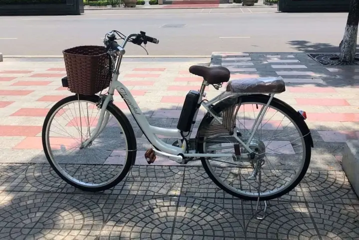 Xe Đạp Trợ Lực Thống Nhất: Đánh Giá Chi Tiết, So Sánh Và Mẫu Xe Phổ Biến