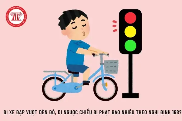 Xe Đạp Vượt Đèn Đỏ Phạt Bao Nhiêu Tiền Theo Nghị Định Mới?