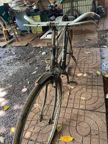 Mua Bán Xe Đạp Cổ: Dòng Xe Cổ Điển, Peugeot Pháp Và Giá Bán Mua Bán Xe Đạp Cổ: Dòng Xe Cổ Điển, Peugeot Pháp Và Giá Bán