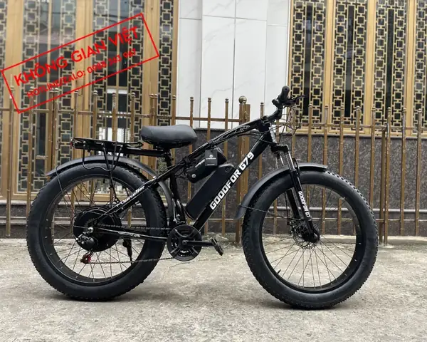 Mua Xe Đạp Bánh Béo: Cách Chọn Xe Thường, Trợ Lực Điện Và Nơi Mua