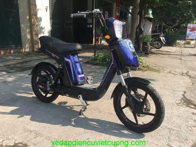 Mua Xe Đạp Điện Pega Cũ: Danh Sách Mẫu Và Tiêu Chí Chọn