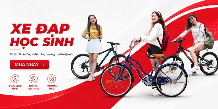 Mua Xe Đạp Giá Rẻ Tại Hà Nội: Chọn Cửa Hàng, Xe Mới Hoặc Xe Cũ