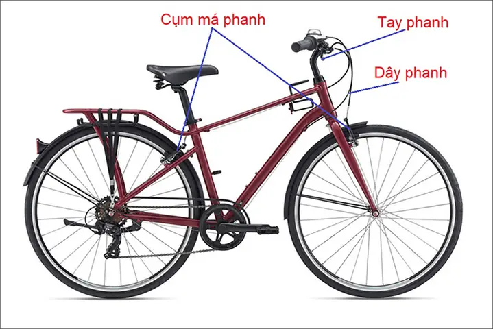 Hiểu Các Bộ Phận Của Xe Đạp: Cấu Tạo, Chức Năng Và Cách Hoạt Động