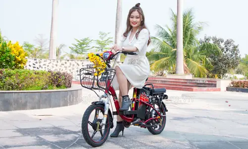 Tìm Nơi Bán Xe Đạp Điện Gần Nhất: Địa Chỉ Showroom Theo Khu Vực