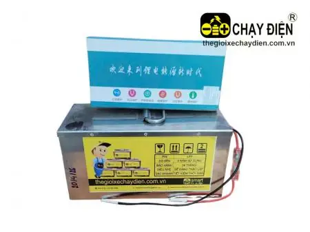 Pin Xe Đạp Điện 12V: Cách Chọn Loại Phù Hợp Và Sử Dụng An Toàn