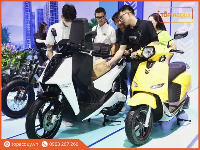 Pin Xe Đạp Điện Vinfast: Chọn Loại Phù Hợp, Giá Bao Nhiêu Và Nên Mua Hay Thuê?