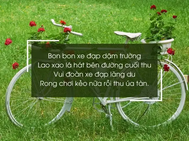 Tuyển Tập 50+ Status Hay Về Xe Đạp: Cap Thả Thính, Tình Cảm Và Hài Hước