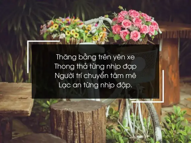 Tuyển Tập 50+ Status Hay Về Xe Đạp: Cap Thả Thính, Tình Cảm Và Hài Hước