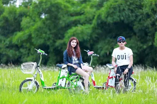 Sửa Xe Đạp Điện Ở Gò Vấp: Cửa Hàng, Địa Chỉ Và Dịch Vụ Tận Nhà