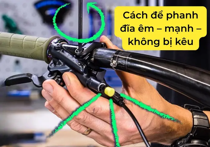 Hướng Dẫn Xử Lý Thắng Xe Đạp Kêu Két Két: Nguyên Nhân & Cách Khắc Phục Triệt Để Cho Phanh Vành & Phanh Đĩa