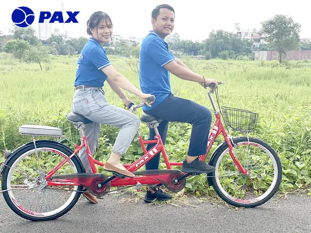 Thanh Lý Xe Đạp Đôi Ở Đâu? Khu Vực Mua Bán Tại Hà Nội, Đà Nẵng Và TP. Hồ Chí Minh