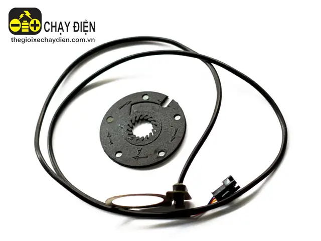 Chi Phí Thay Dây Ga, Tay Ga Xe Đạp Điện 2025: Bảng Giá Chi Tiết Theo Hãng, Lỗi Thường Gặp & Hướng Dẫn Tự Thay / Chọn Dịch Vụ