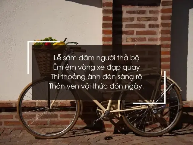 Tuyển 42 Bài Thơ Hay Về Xe Đạp: Sâu Sắc, Hài Hước Và Giàu Cảm Xúc
