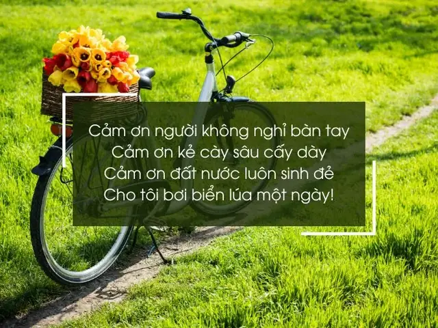 Tuyển 42 Bài Thơ Hay Về Xe Đạp: Sâu Sắc, Hài Hước Và Giàu Cảm Xúc