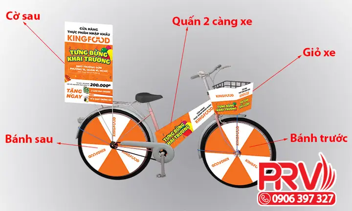 Trang Trí Xe Đạp Roadshow Là Gì? Hướng Dẫn Chọn Decal, Mẫu Màu Và Đồng Bộ Xe